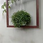 частный дом у федотовича *