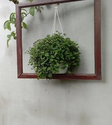 частный дом у федотовича *